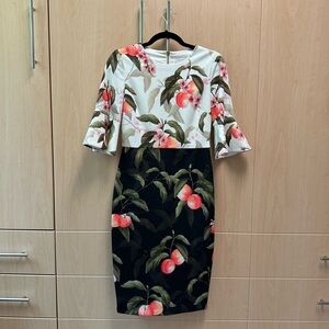 Ted Baker Sz 1 print shift dress (size 2 in US)